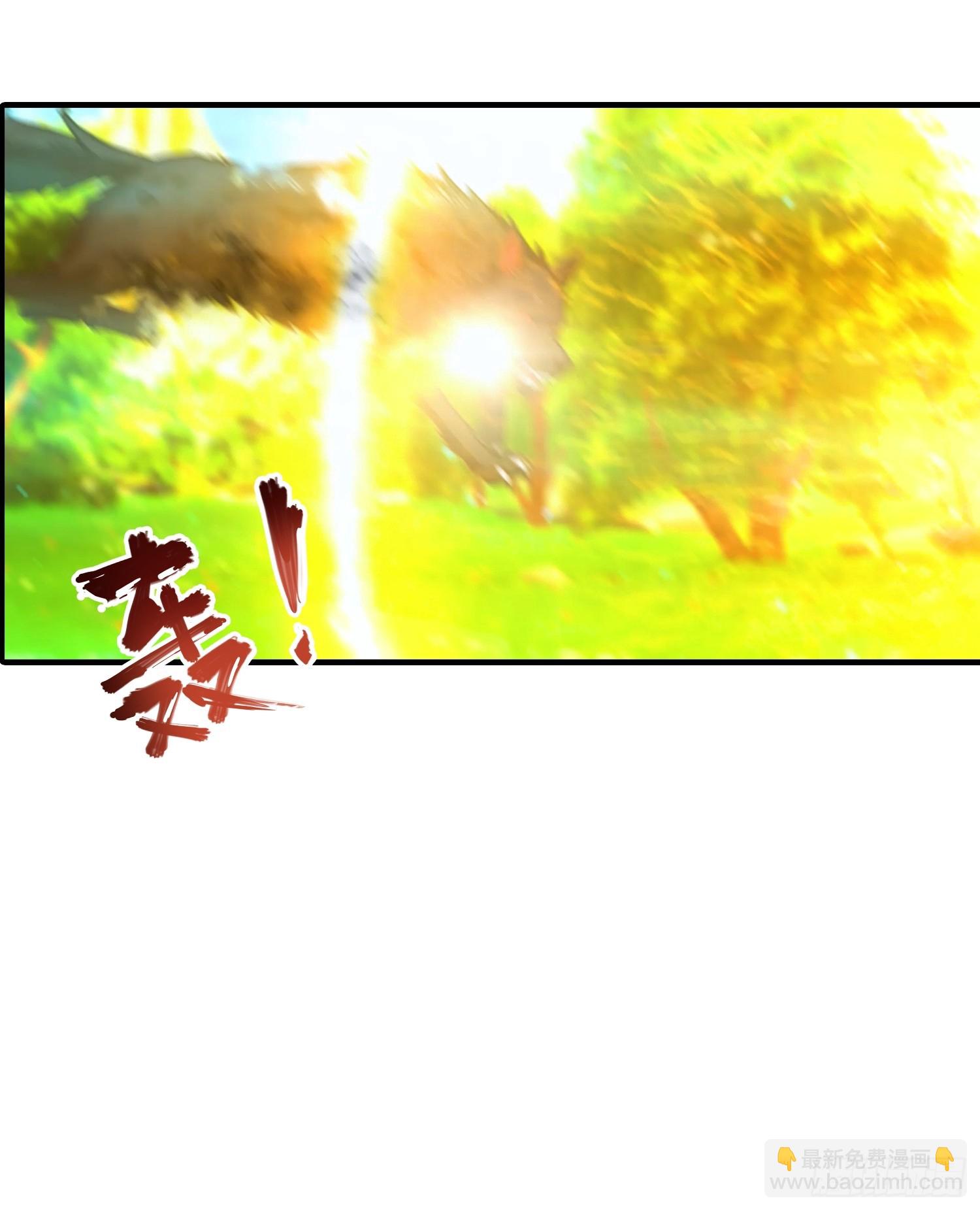 第4话 召唤新异兽&mdash;&mdash;龙龟-第5话