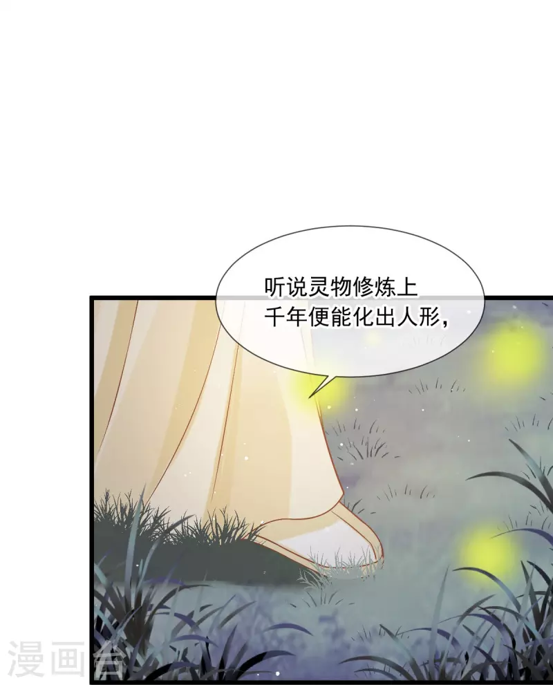 第52话 灵珠出世，有点拽~-第53话