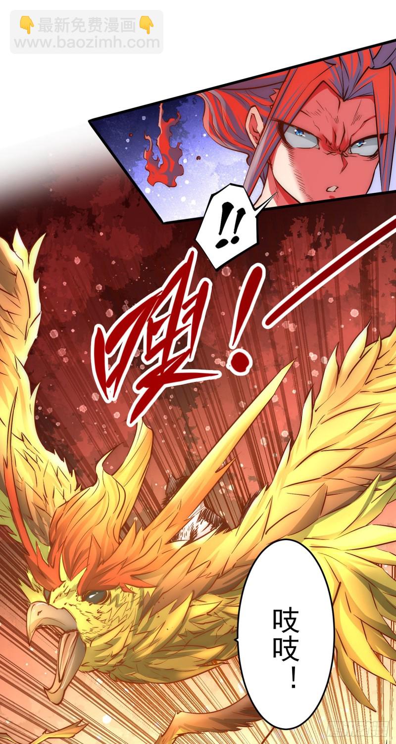 第164话 焱山鹰王-第169话