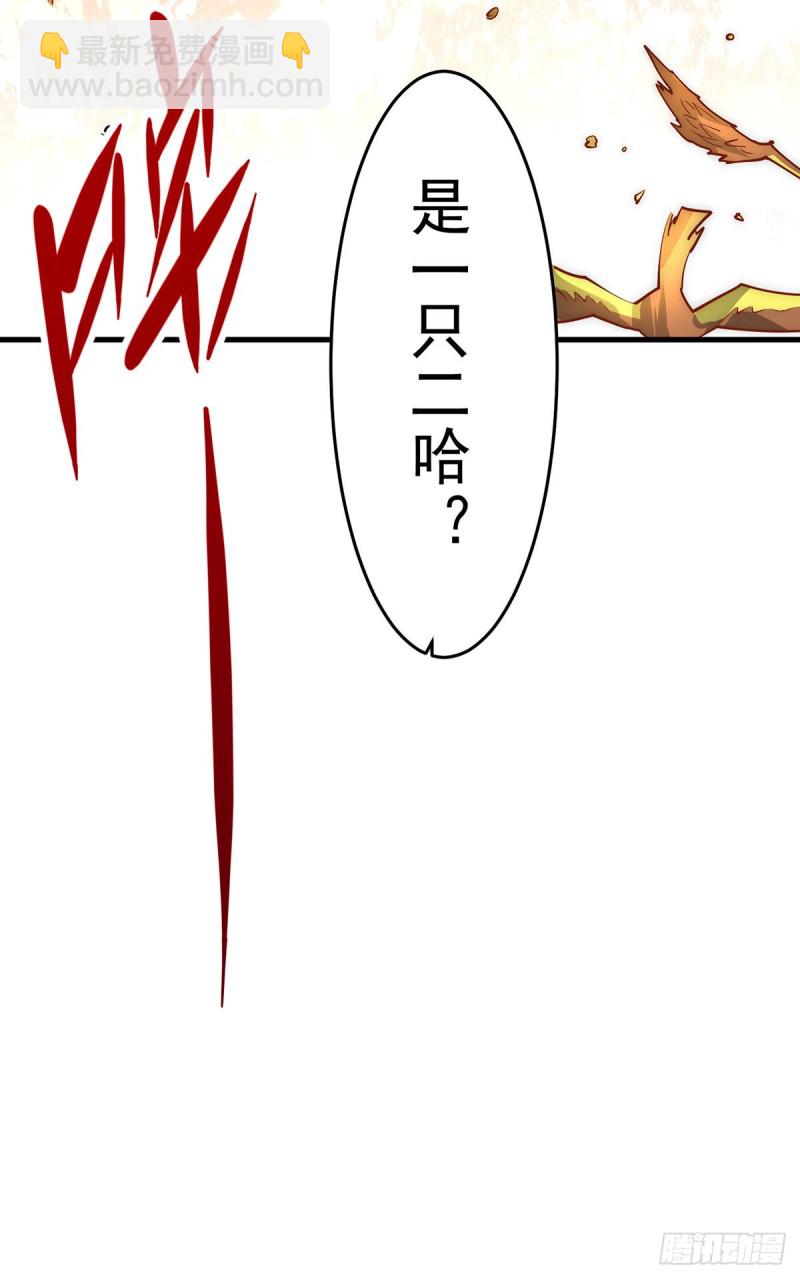 第164话 焱山鹰王-第169话