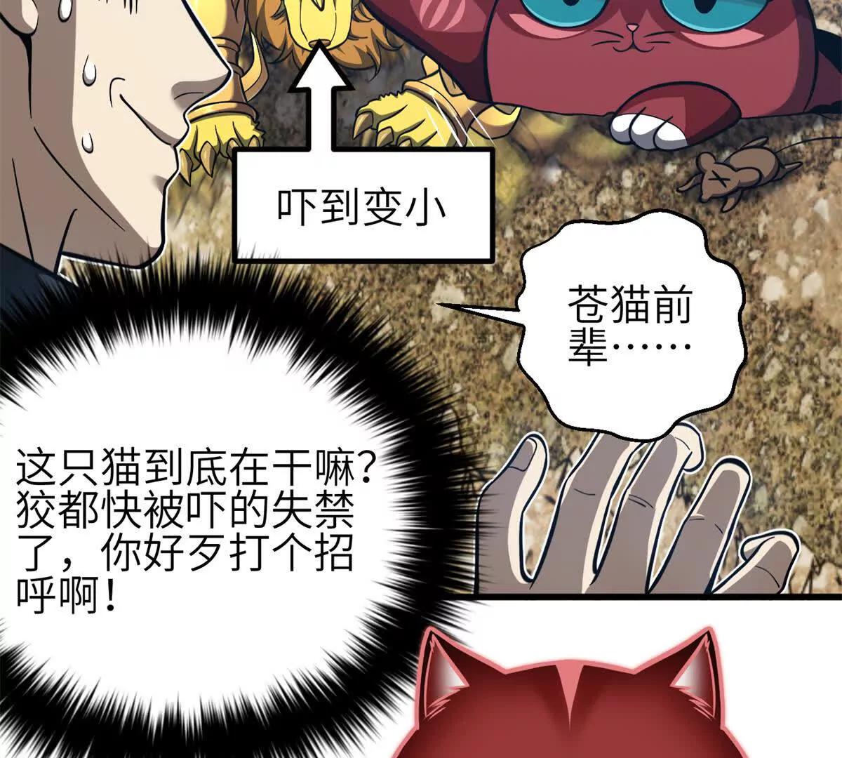 342 绝巅之战(1/3)-第347话