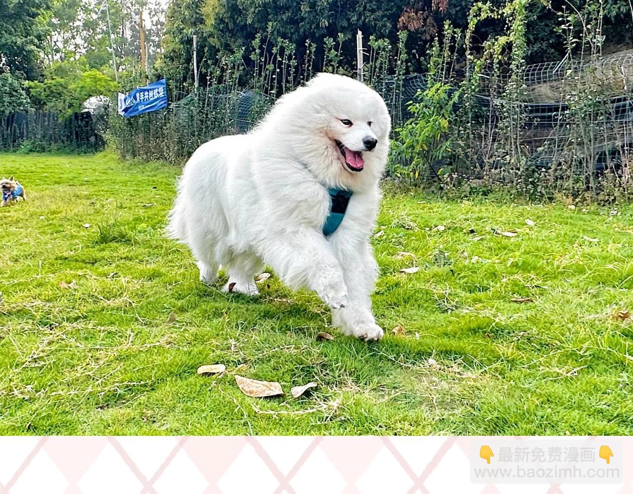 🍛全球诡异时代 第6期 肝画的日常（日更中） 第44页
