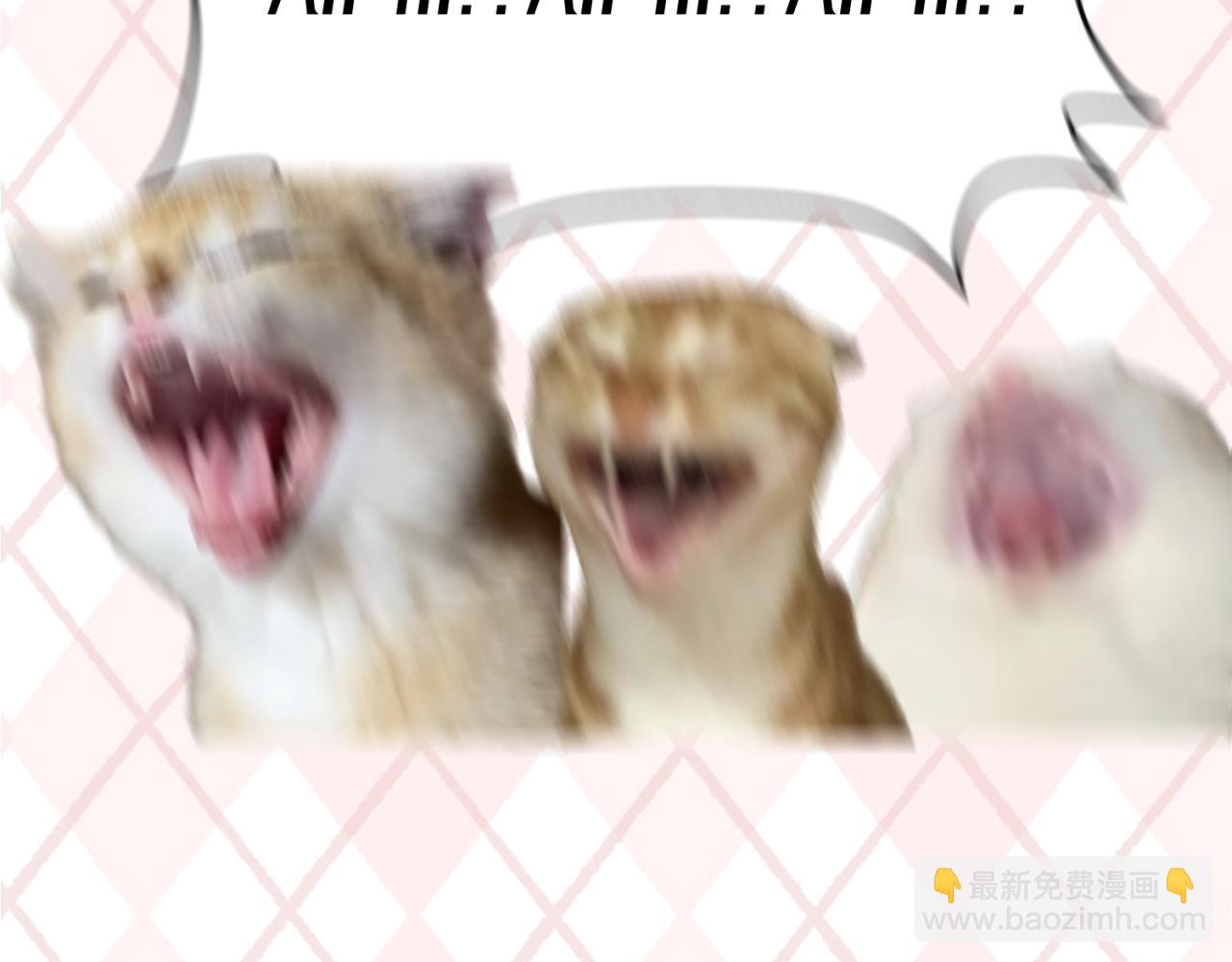 🍛全球诡异时代 第27期 鬼灵人气榜单大公开！（日更中） 第6页