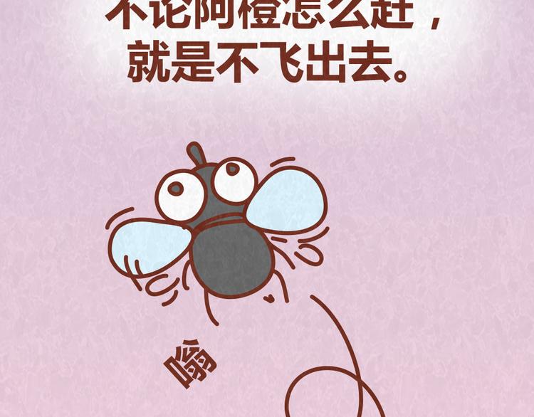 第52话 单身狗的超强愤怒-第51话