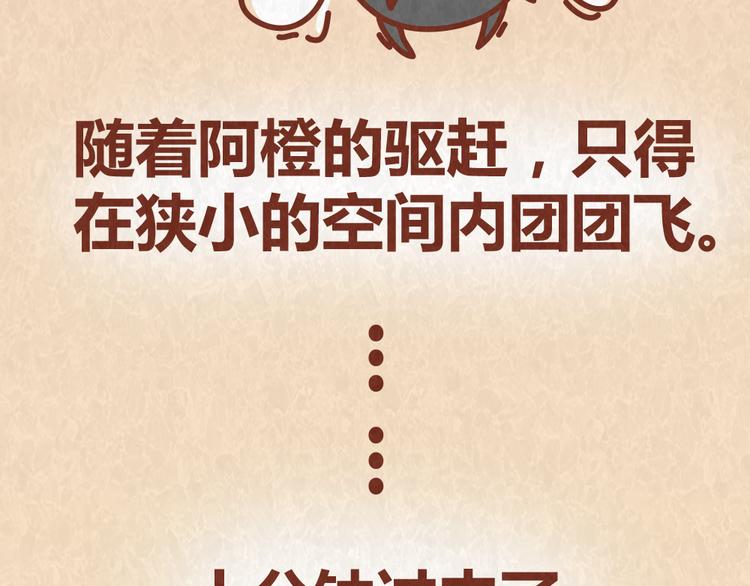 第52话 单身狗的超强愤怒-第51话