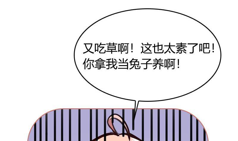 第4话 你拿我当兔子养啊(1/2)-第5话