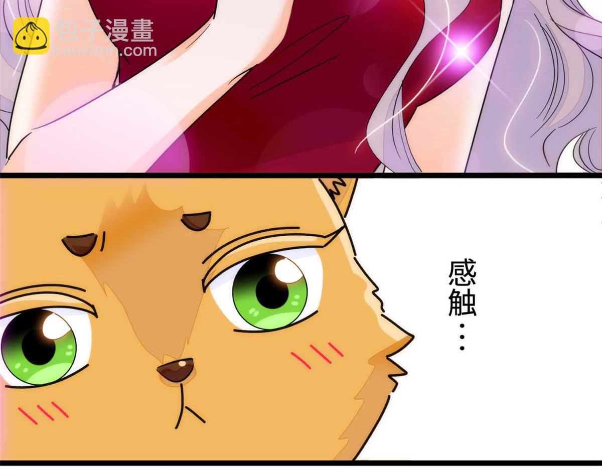 269 真的怀了呢！(1/3)-第273话
