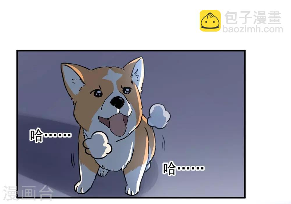 🍛犬侠 第3话 城市角落 第12页