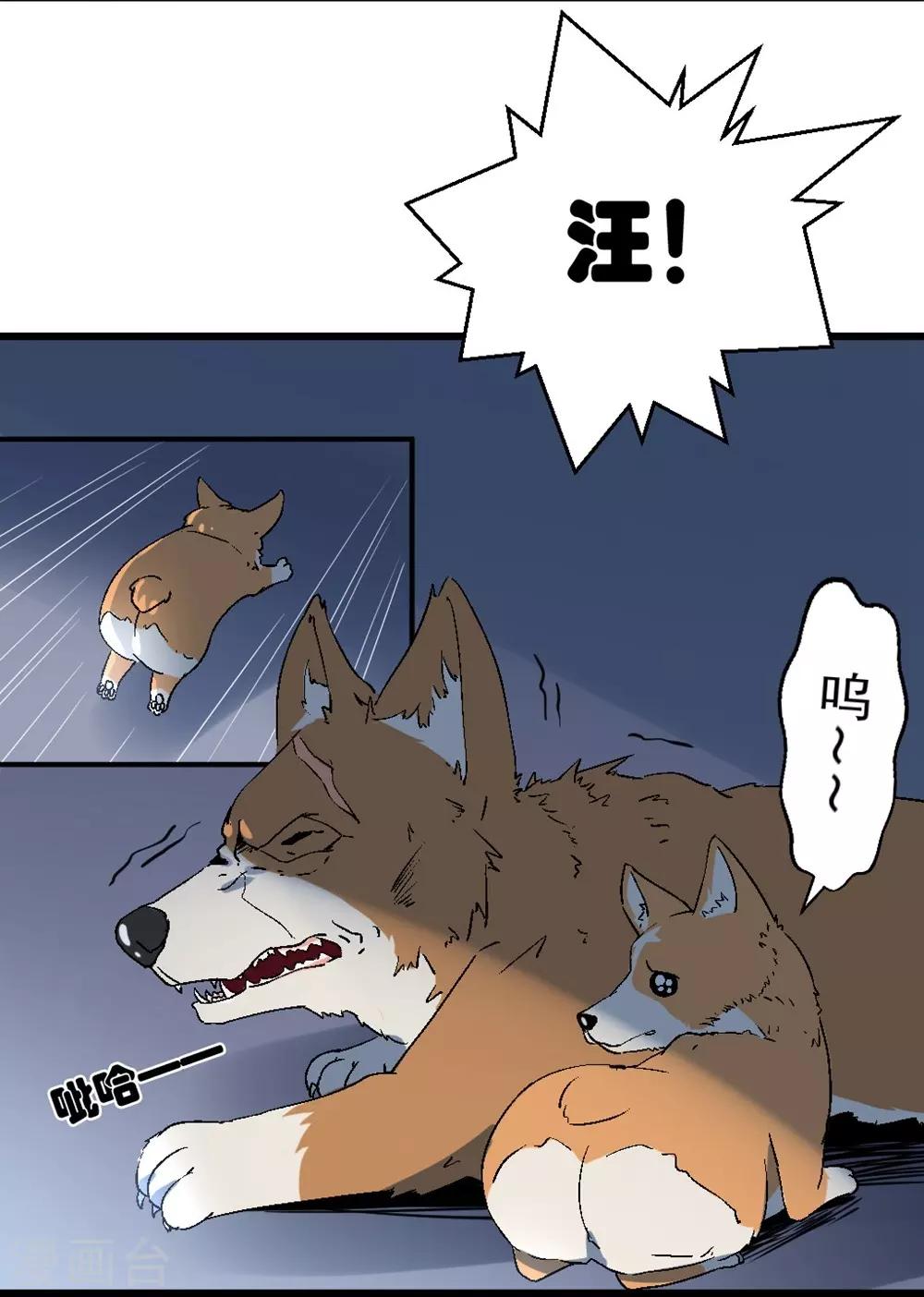 🍛犬侠 第3话 城市角落 第15页