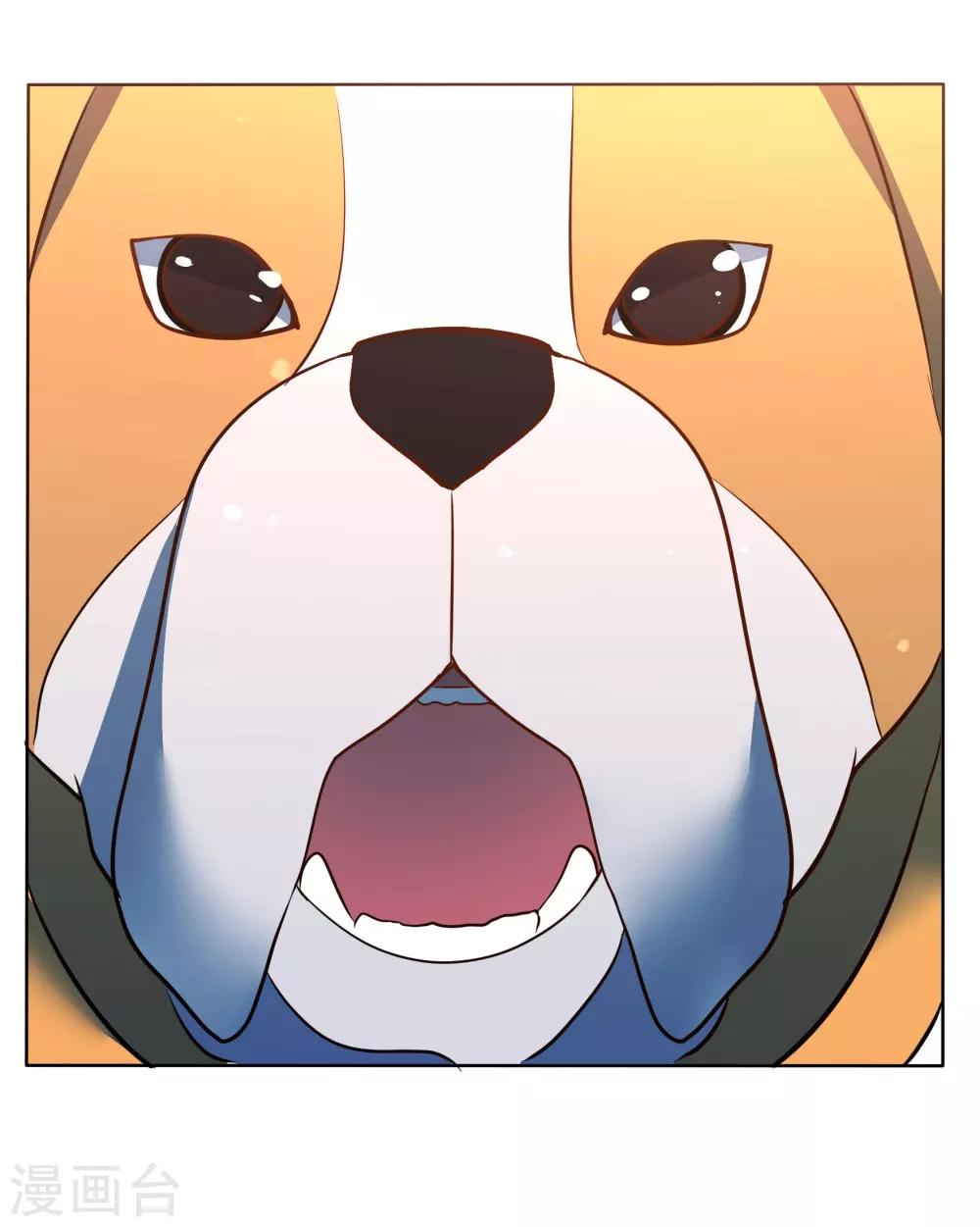 🍛犬侠 第91话 特别的狗 第21页