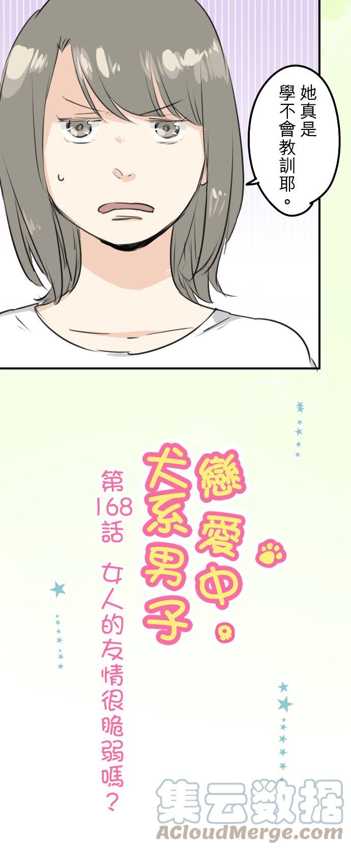 🍛犬系男子恋爱中 第168话 女人的友情很脆弱吗？ 第5页