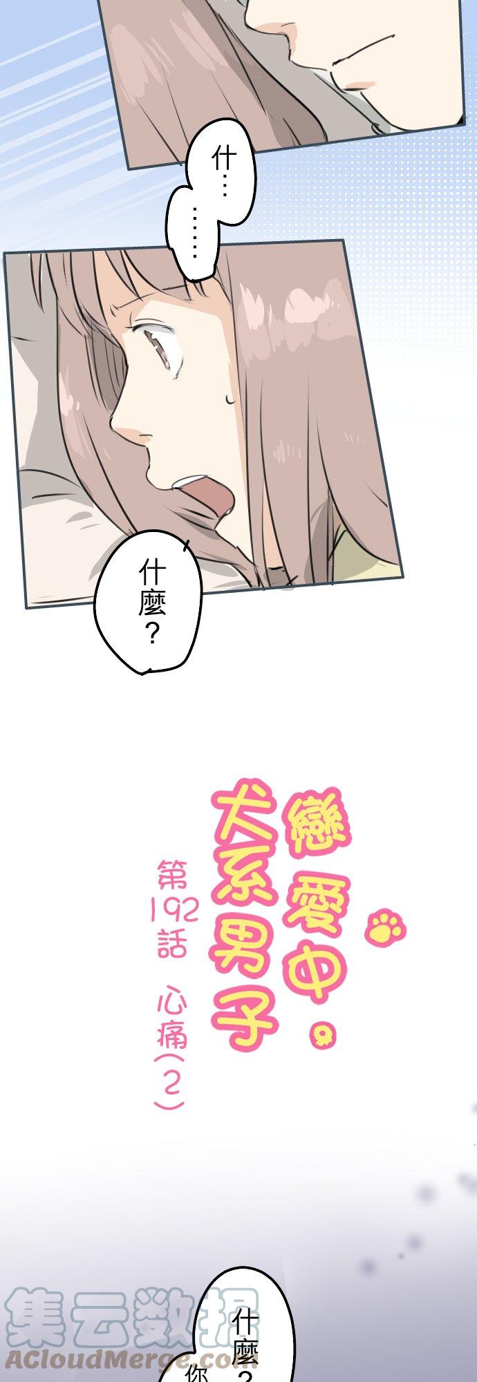 🍛犬系男子恋爱中 第192话 心痛（2） 第3页