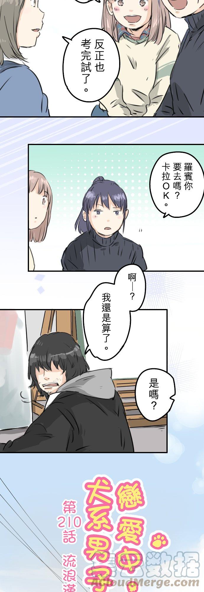 🍛犬系男子恋爱中 第210话 流浪汉 第3页