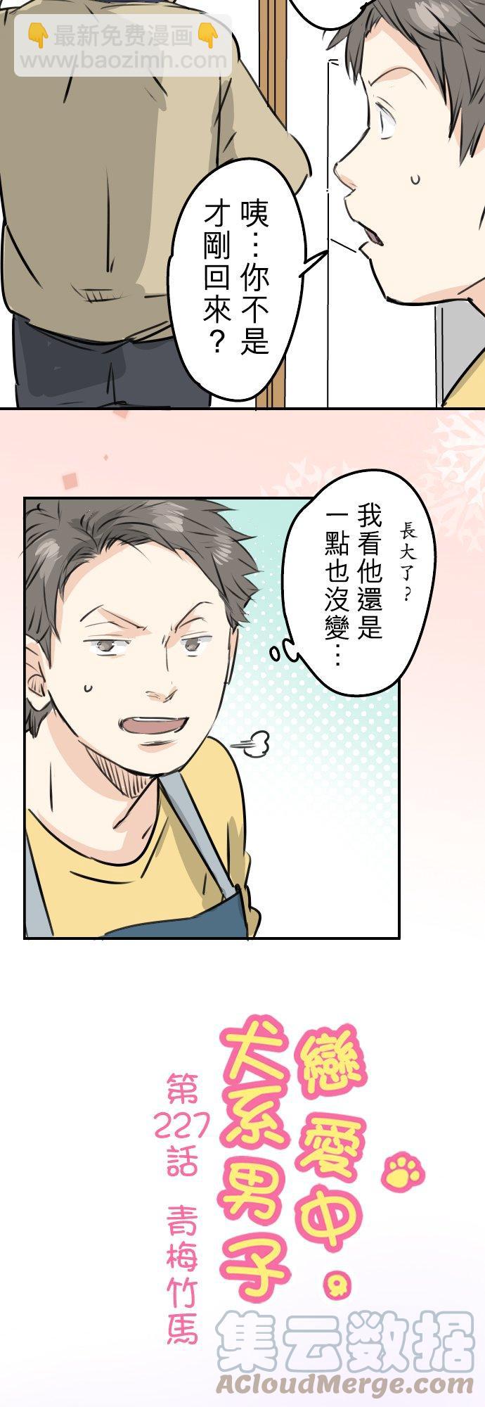 🍛犬系男子恋爱中 第227话 青梅竹马 第7页