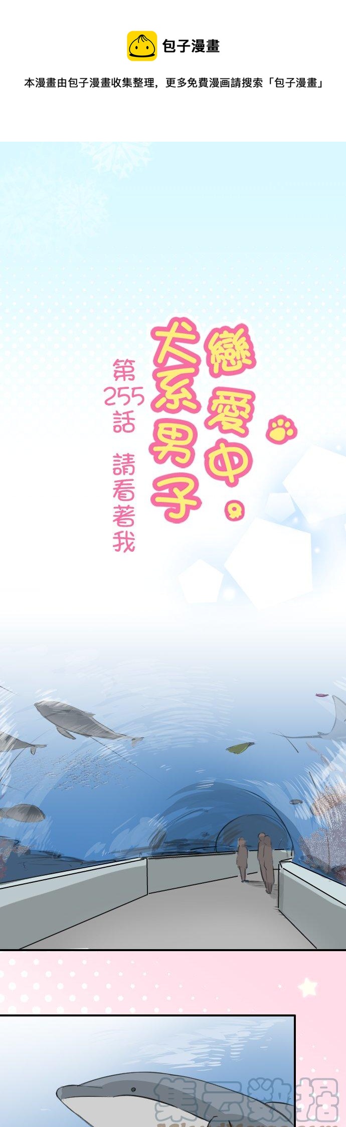 🍛犬系男子恋爱中 第255话 请看着我 第1页