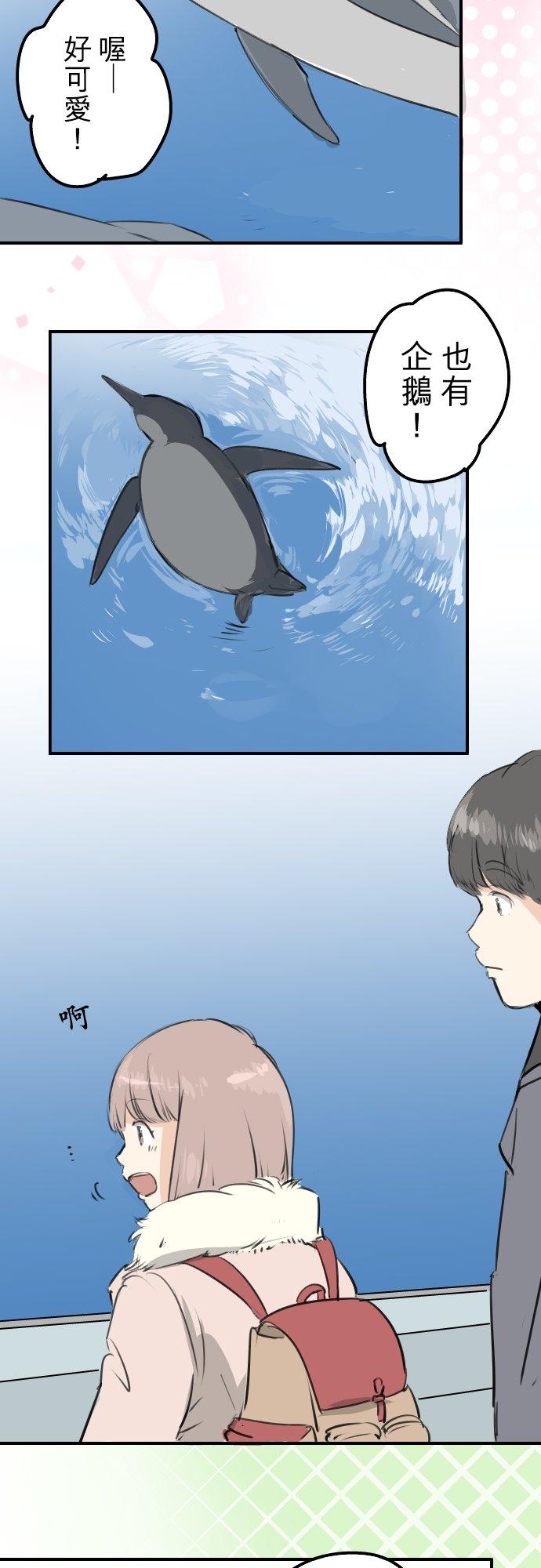 🍛犬系男子恋爱中 第255话 请看着我 第2页