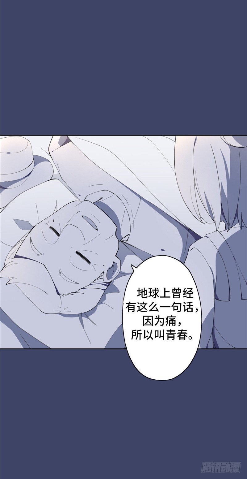 大师D 41-第117话