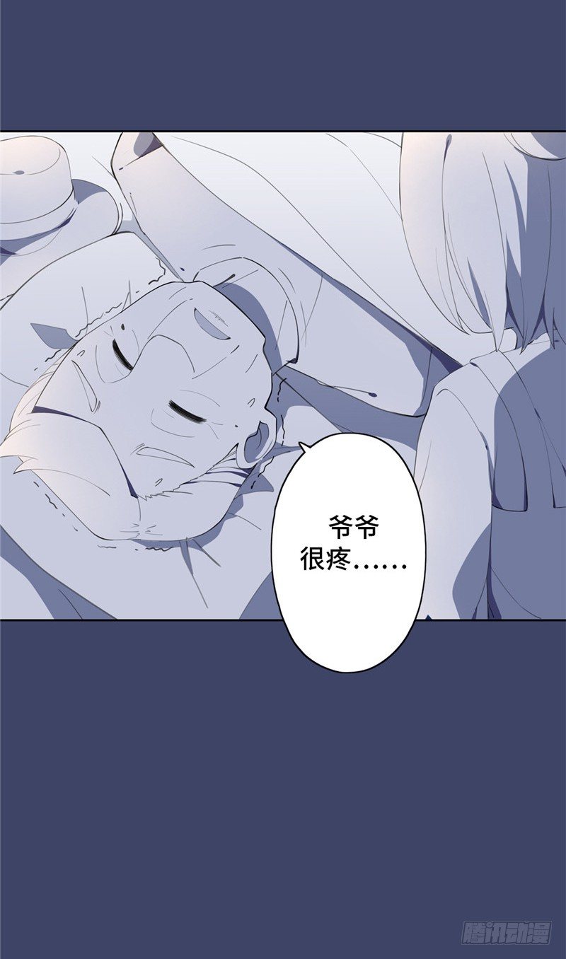 大师D 41-第117话