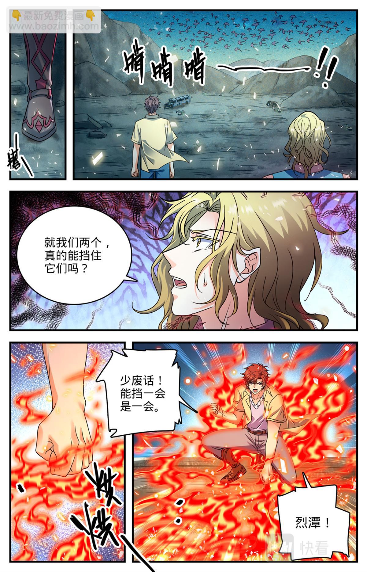 🍛全职法师 1023 驯化无羽鸟 第13页