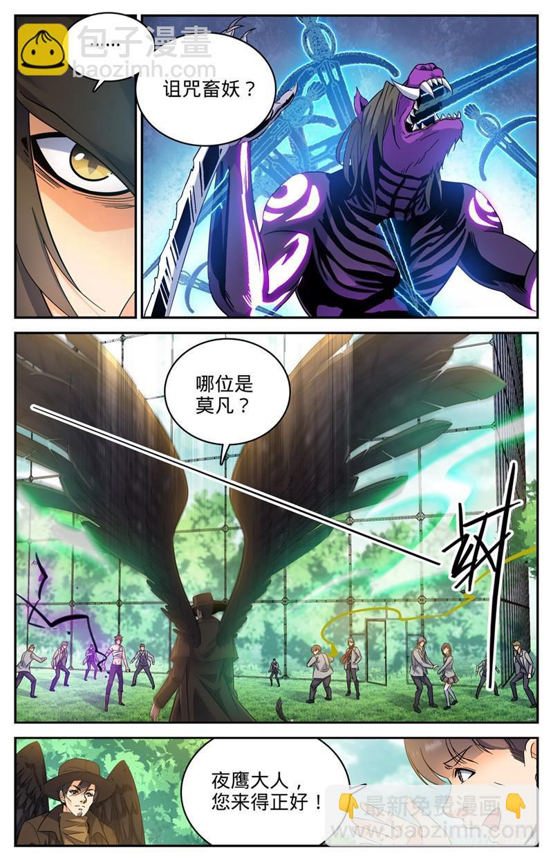 🍛全职法师 第219话 审判员夜鹰 第10页