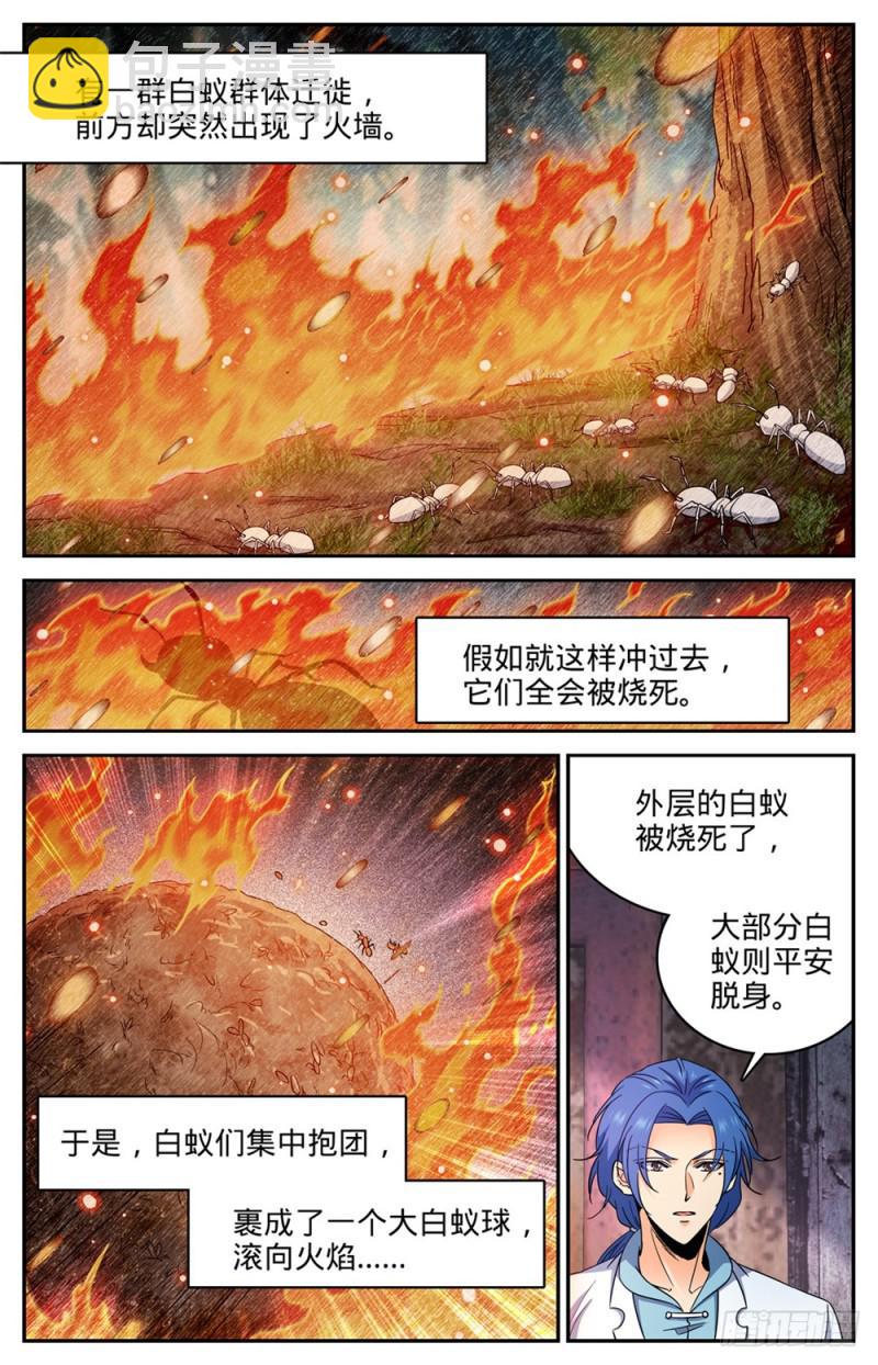 🍛全职法师 第411话 白蚁求生 第5页