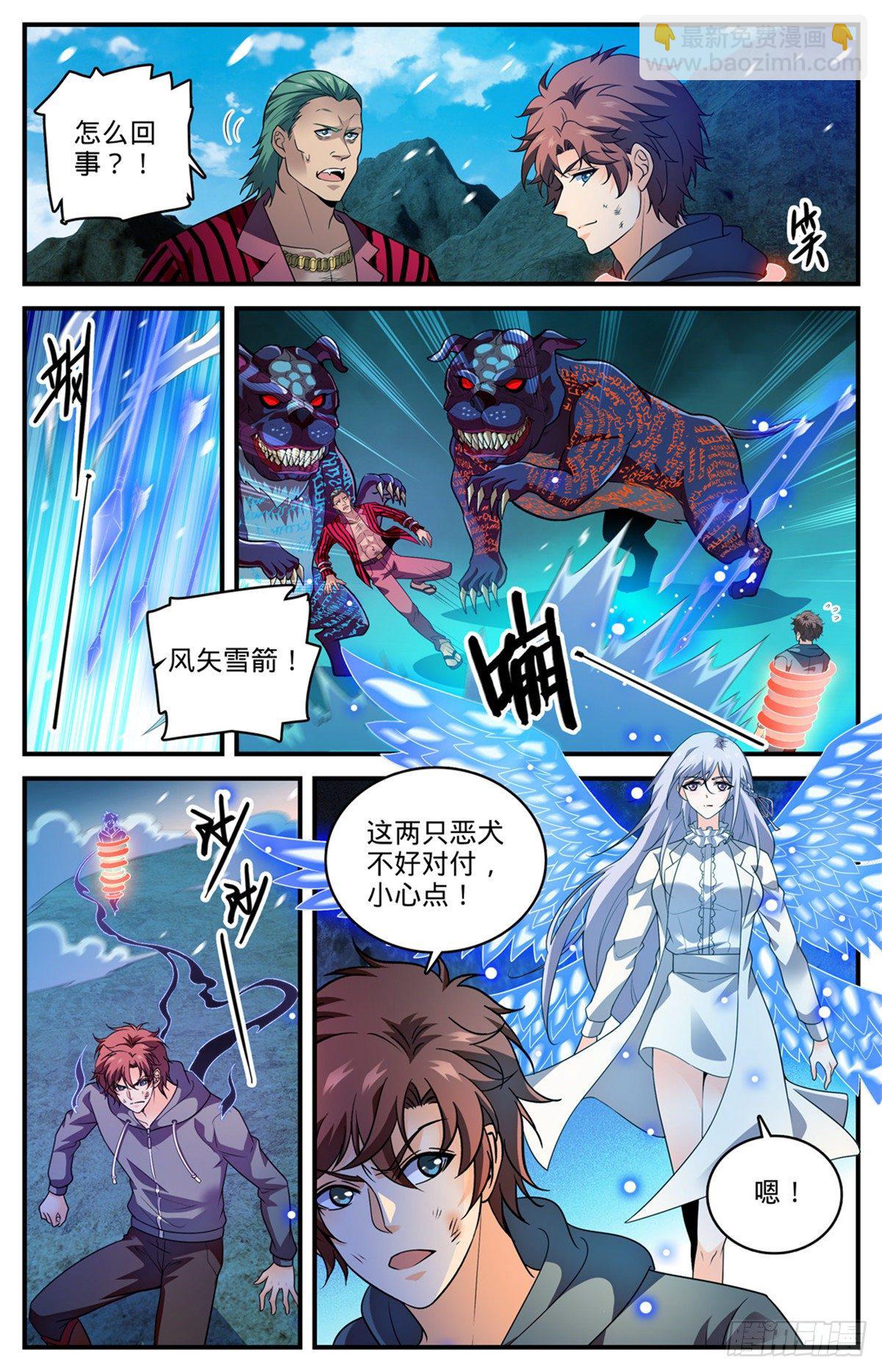 🍛全职法师 807 风矢雪箭 第11页