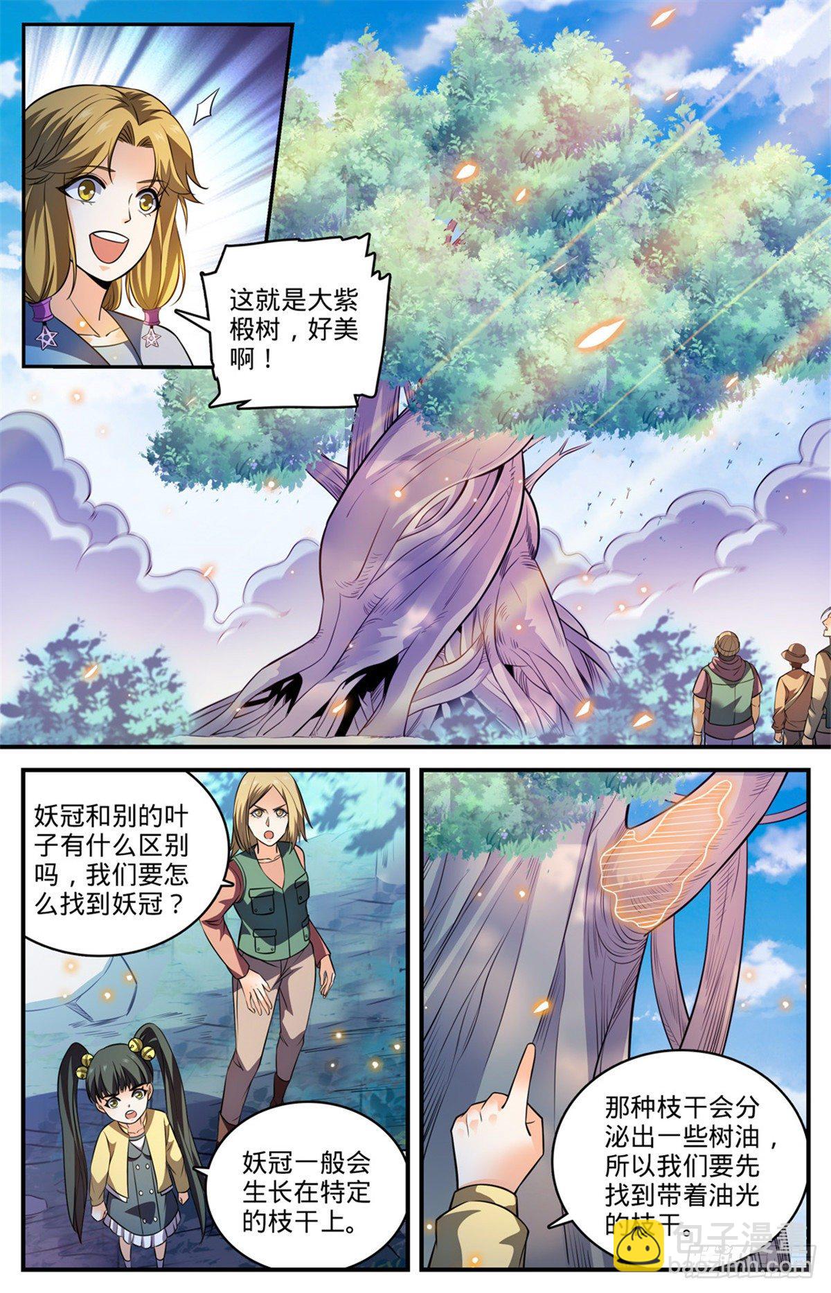 🍛全职法师 817 大紫椴树背后危机 第6页
