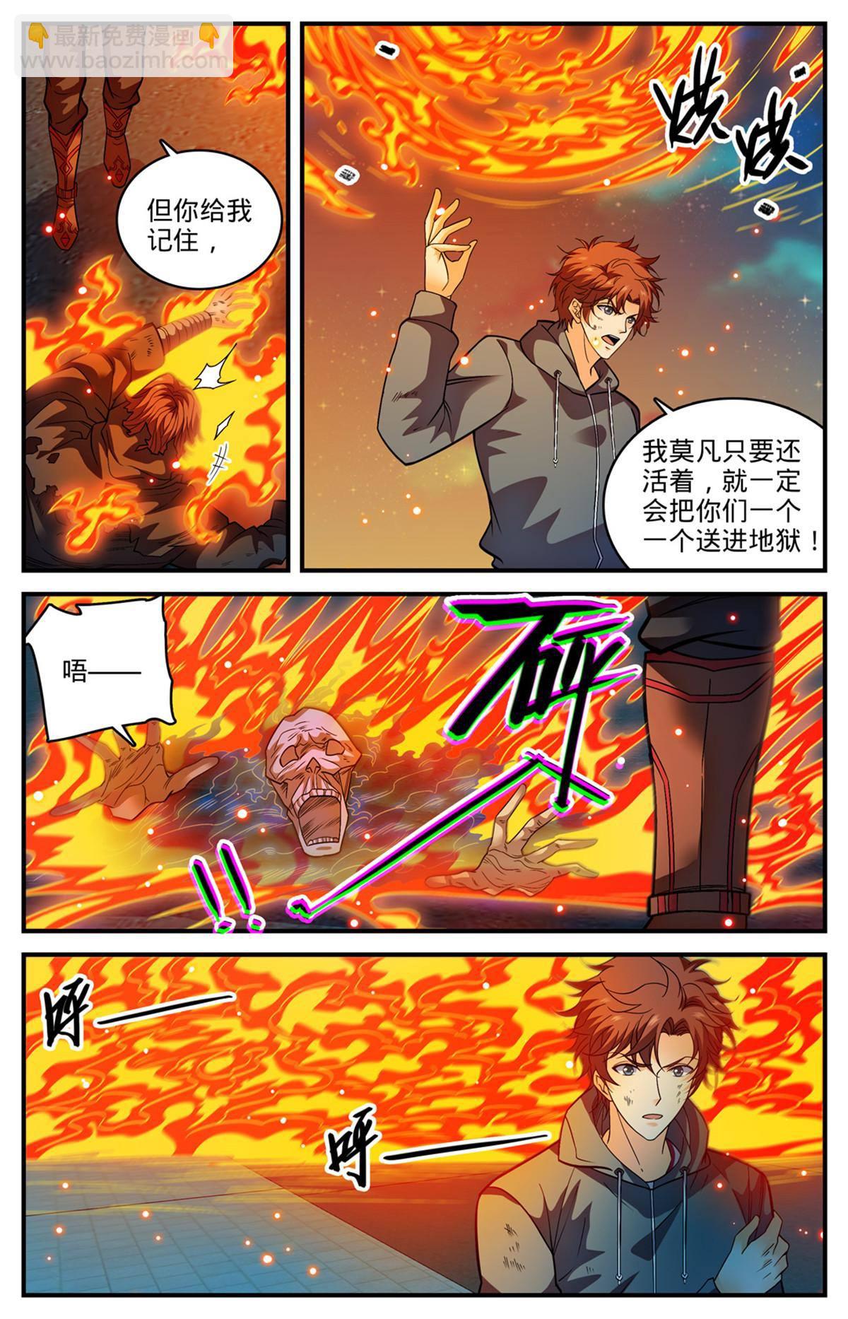 🍛全职法师 843 识破黑暗次序 第11页