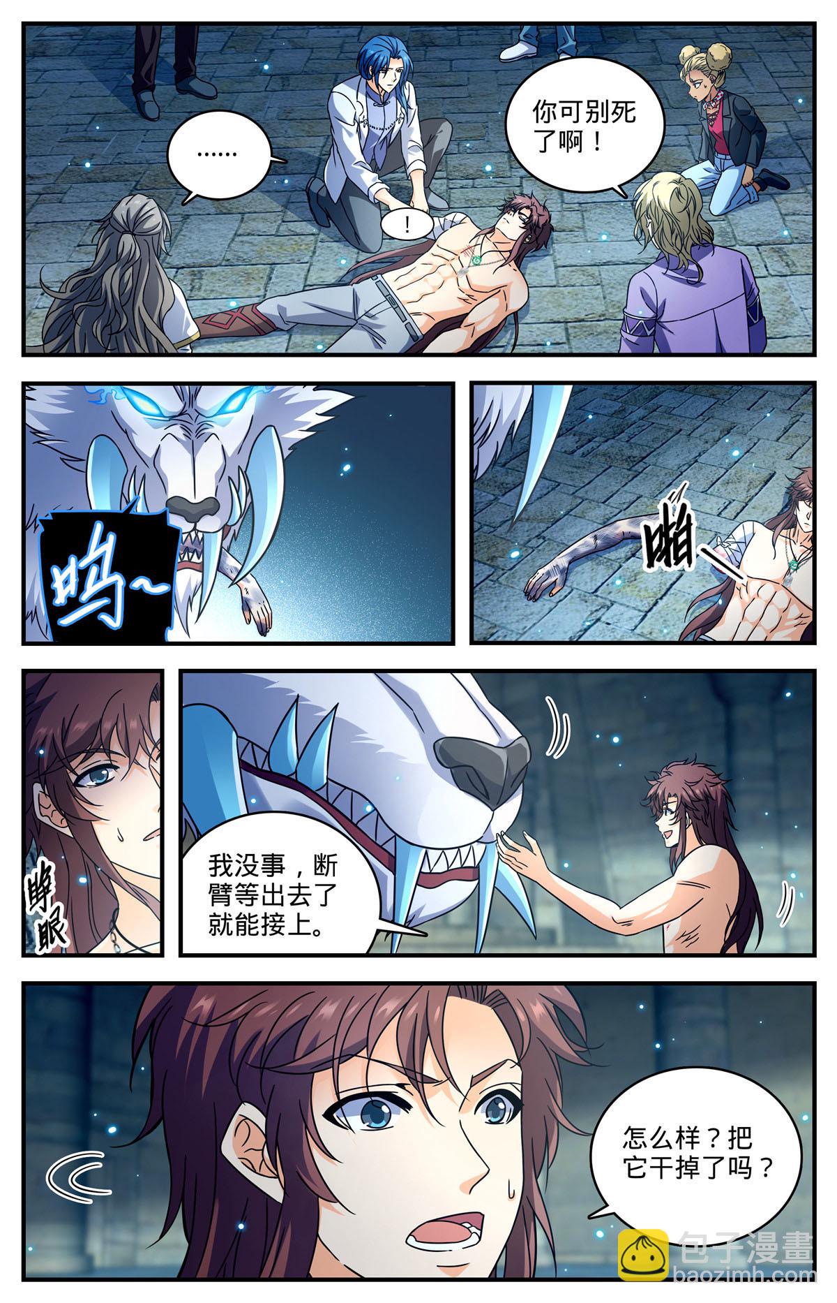 🍛全职法师 955 断臂 第10页