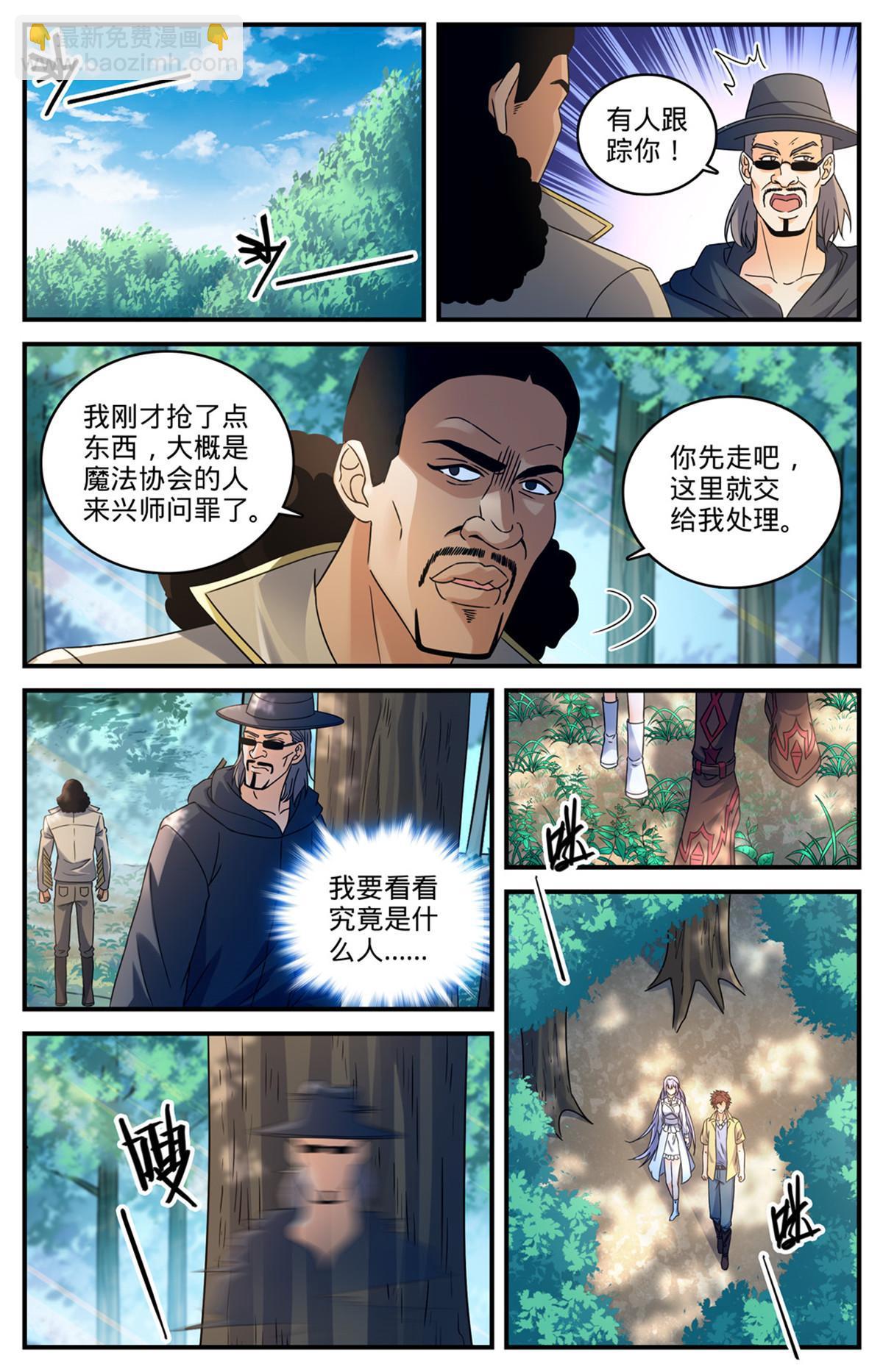 🍛全职法师 965 歹郎公会 第13页