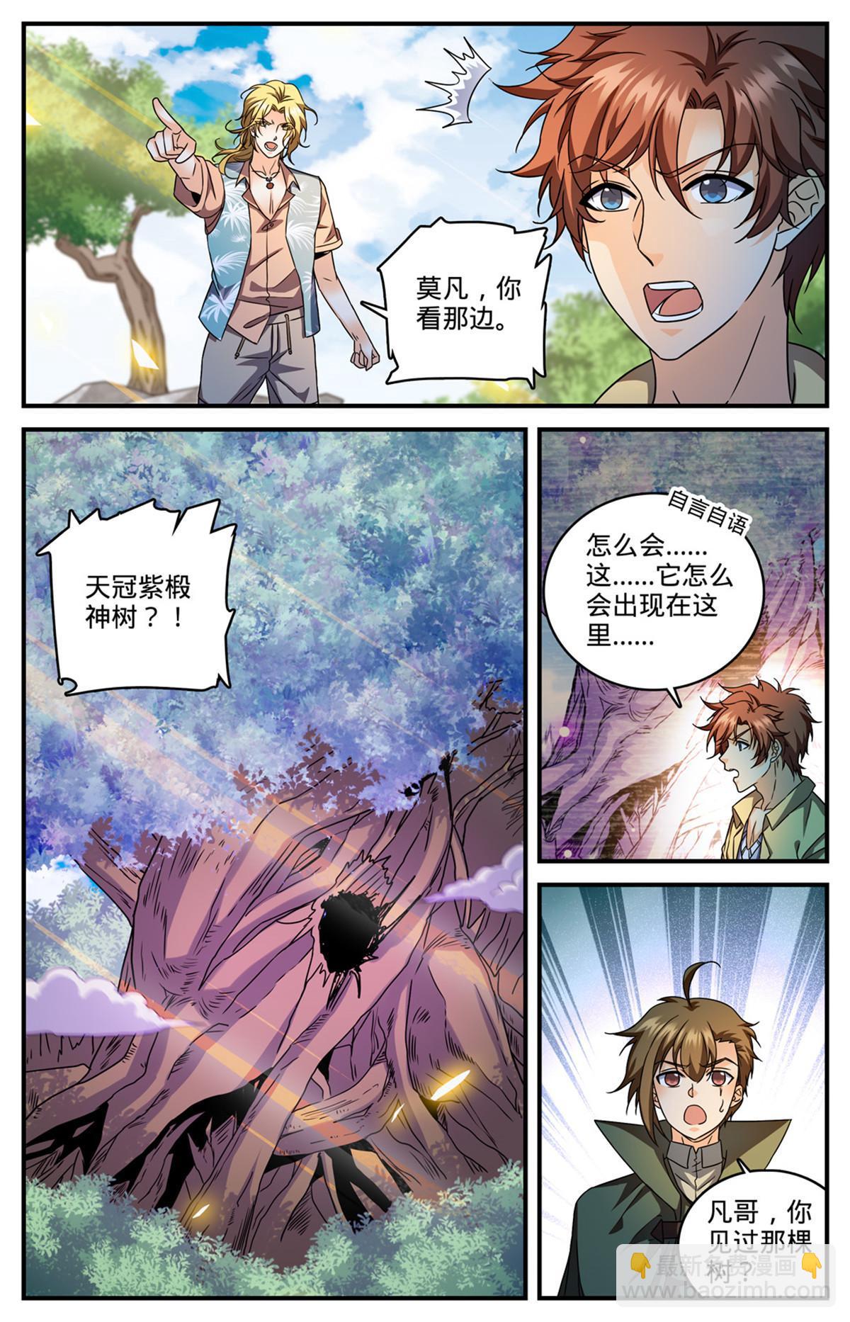 🍛全职法师 981 昆嵛山的大魔鬼 第9页