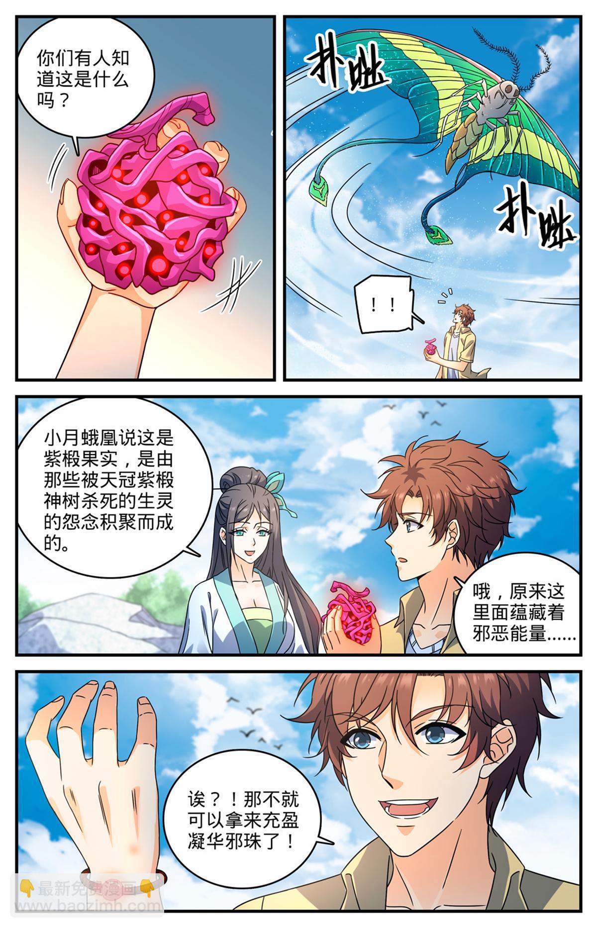 🍛全职法师 985 羽族盛典 第2页