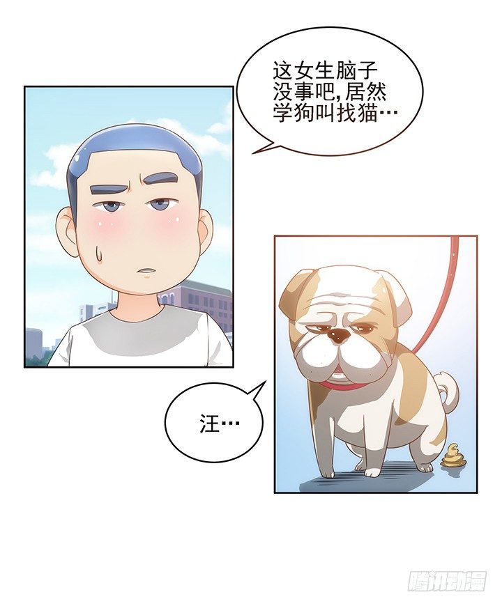 5话 寻猫有道(1/2)-第5话
