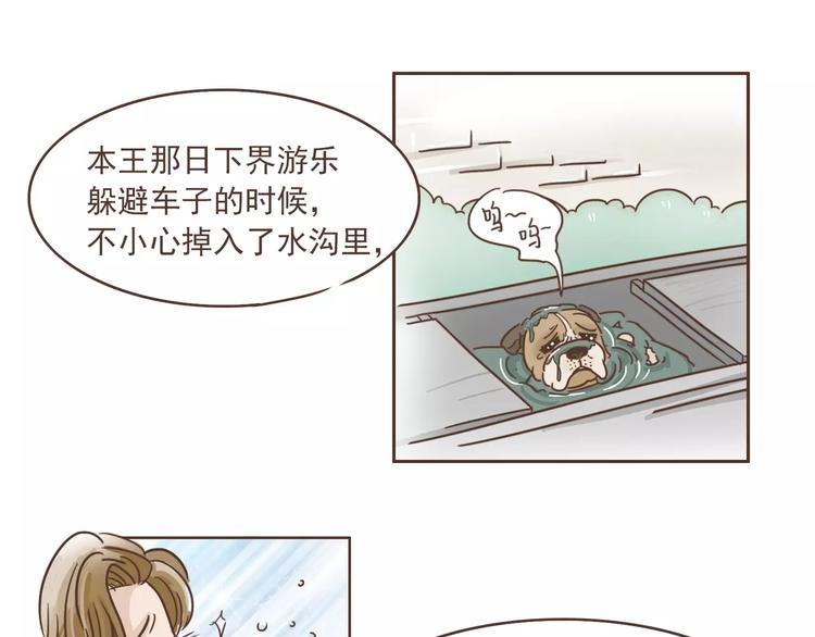 🍤热狗奶茶 第20话 救星驾到 第29页