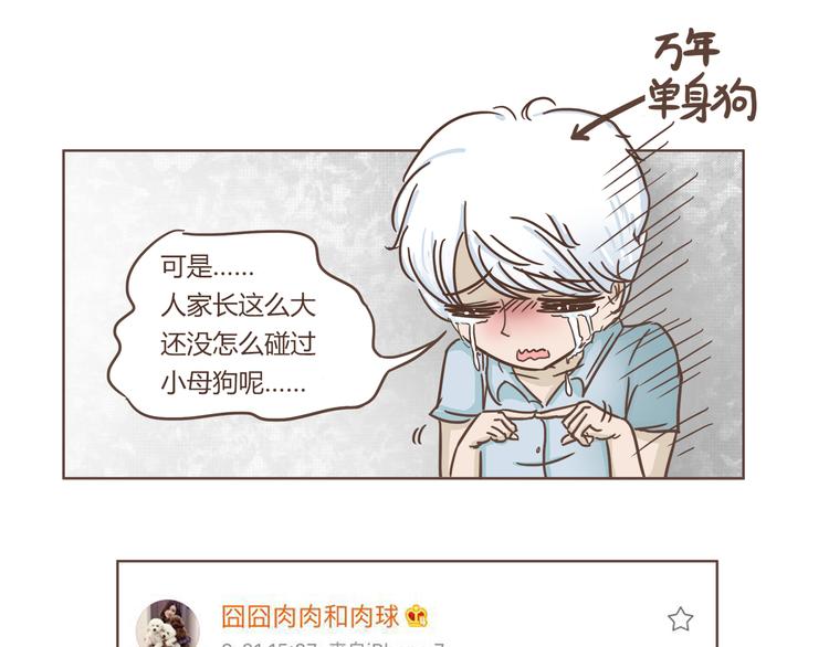 🍤热狗奶茶 第5话 偶遇帅哥老板 第8页