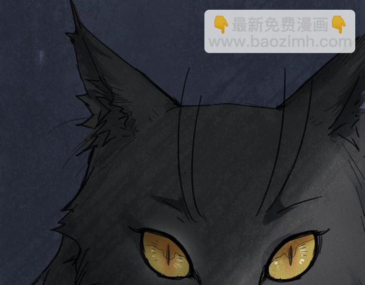 第20话-猫妖篇：怪事由来(1/2)-第27话