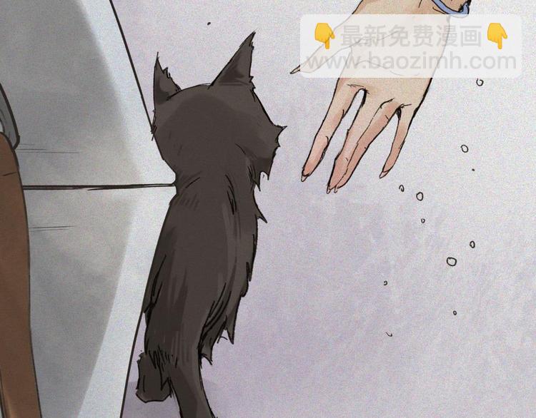 第20话-猫妖篇：怪事由来(1/2)-第27话
