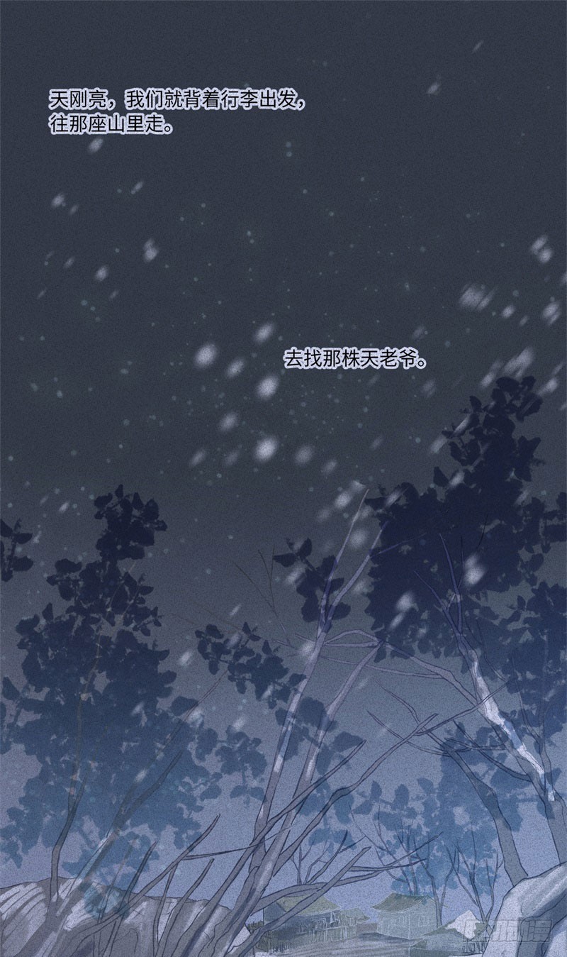 第48话-妖影篇：村外秘洞-第55话