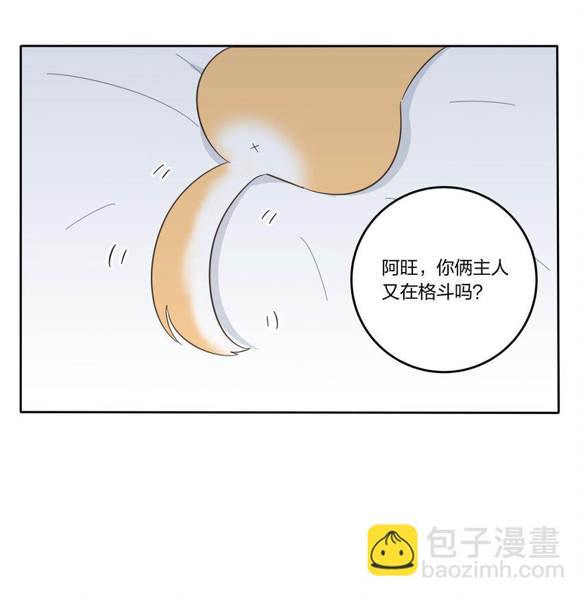 017 紧张-第17话