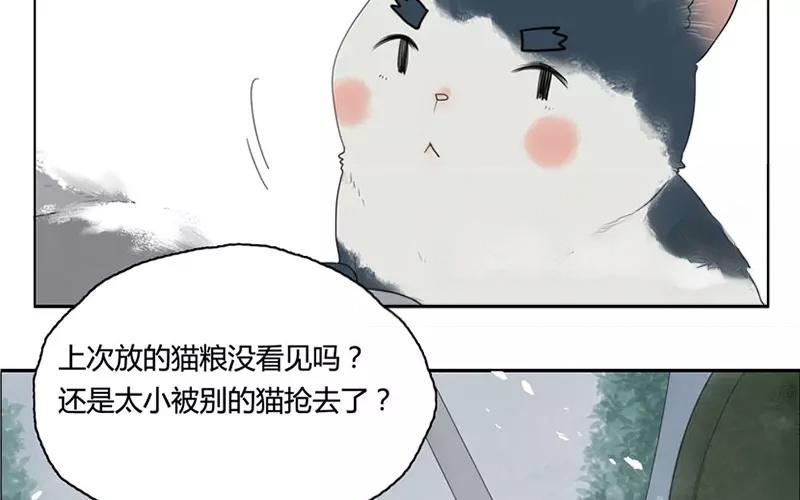 第19话  纯洁的灵魂（中）(1/2)-第17话