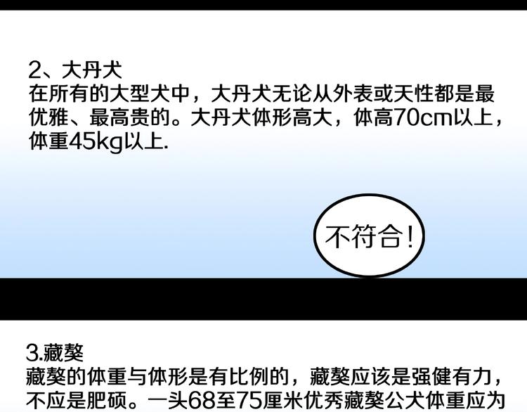 第13话 网吧怪人和预言之书！(1/3)-第15话