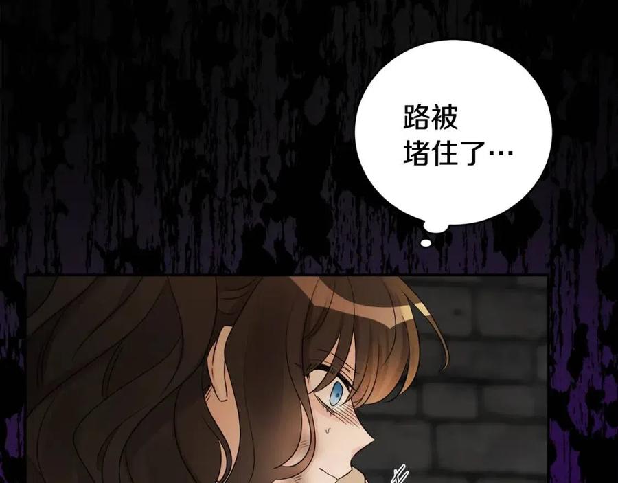 第73话 勇敢的洛洛(1/4)-第73话