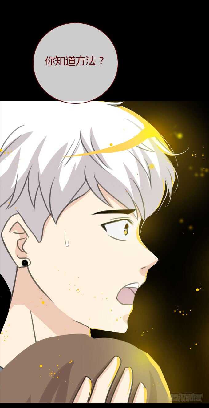 第二季：条件-第69话