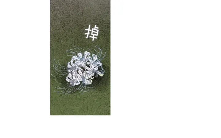 🍤人神共存的爱·咏井中月 第81话 一场混战 第22页
