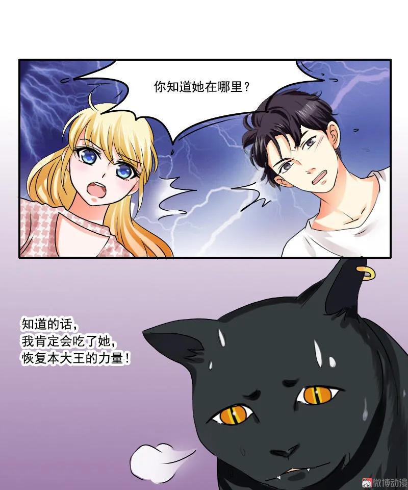 第29话 猫妖-第29话