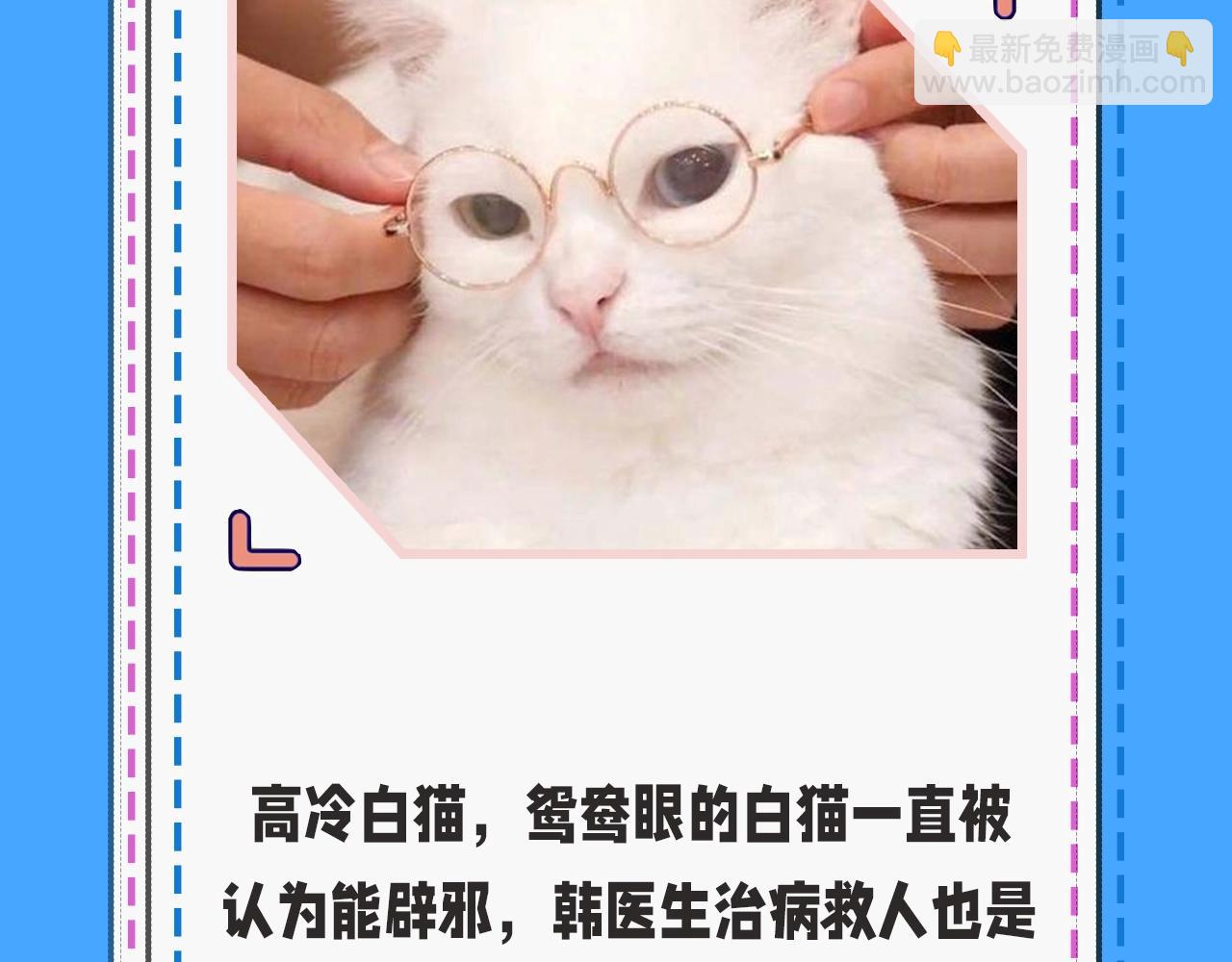 第43期 人鱼陷落的主角都是什么品种的猫（日更中）-第113话