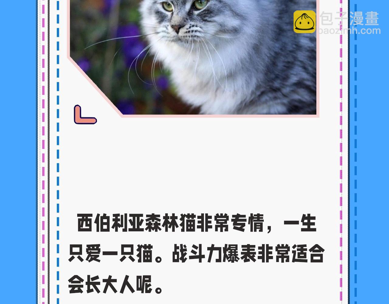 第43期 人鱼陷落的主角都是什么品种的猫（日更中）-第113话