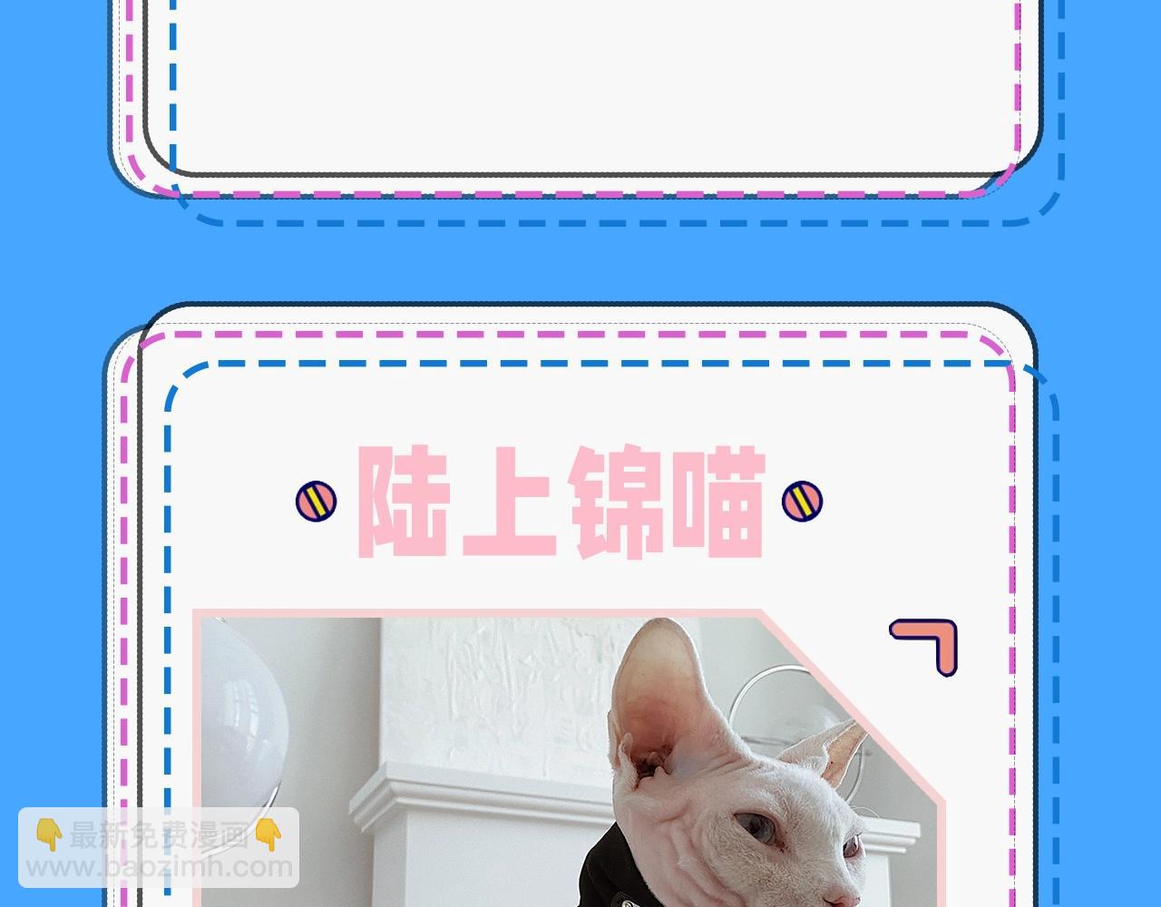第43期 人鱼陷落的主角都是什么品种的猫（日更中）-第113话