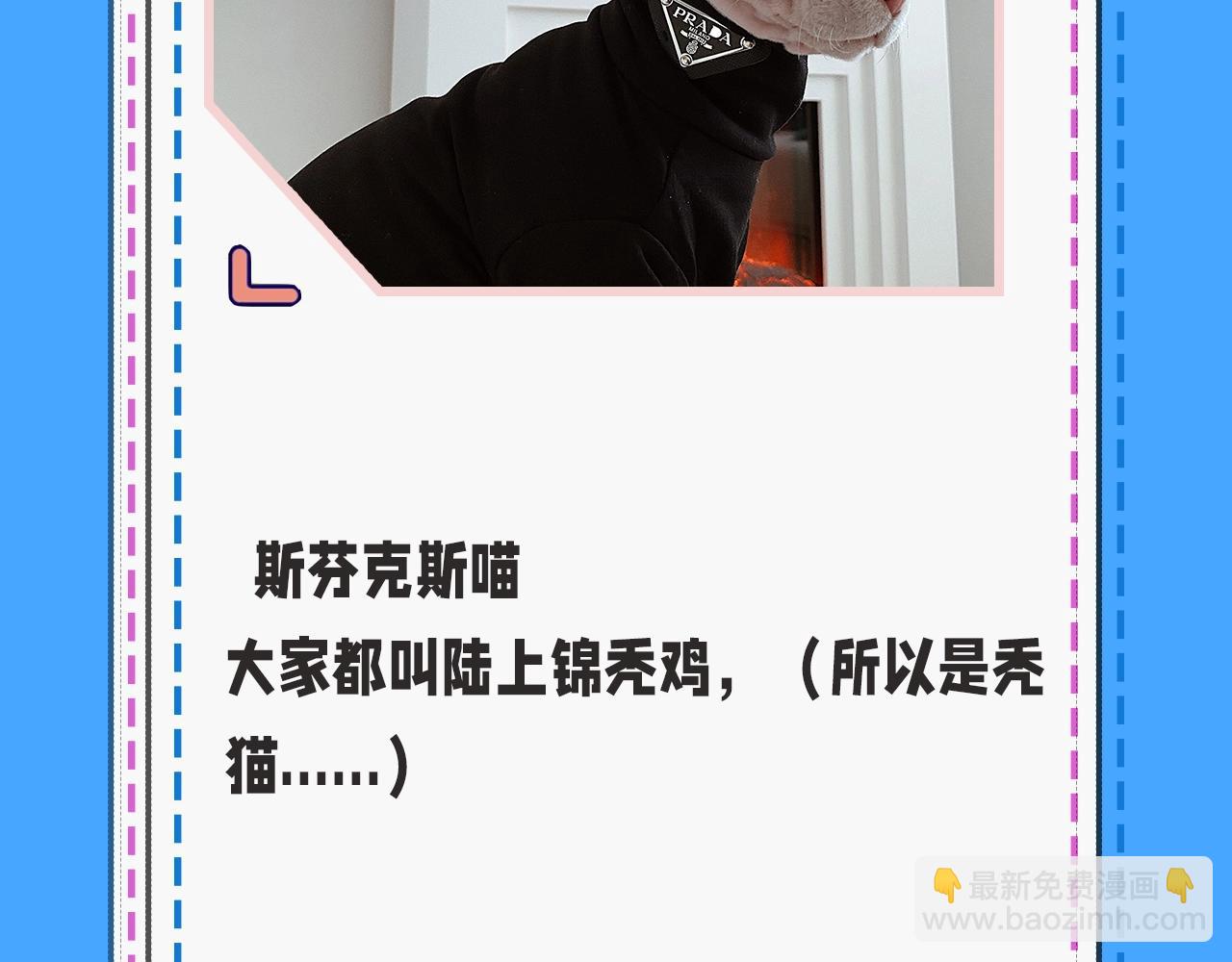 第43期 人鱼陷落的主角都是什么品种的猫（日更中）-第113话