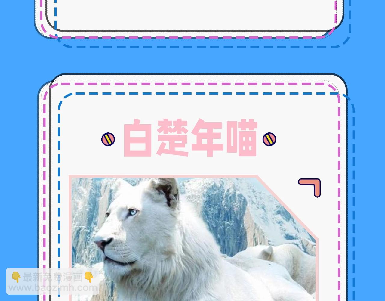 第43期 人鱼陷落的主角都是什么品种的猫（日更中）-第113话